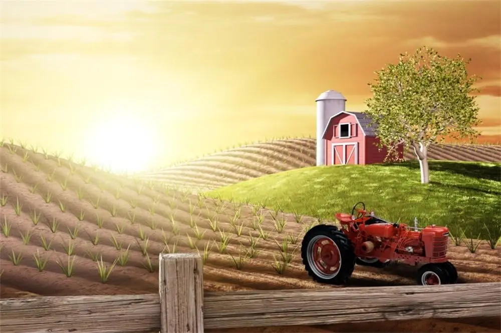 Agriculture Farming Background - 아침 바쁜 농장 신선한 일출 시골