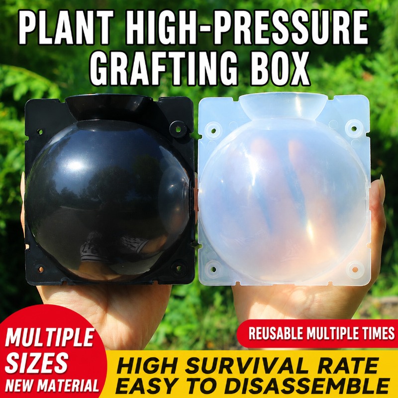 Plant Growth Regulator - 10개 식물 번식 키트: 빠른 뿌리