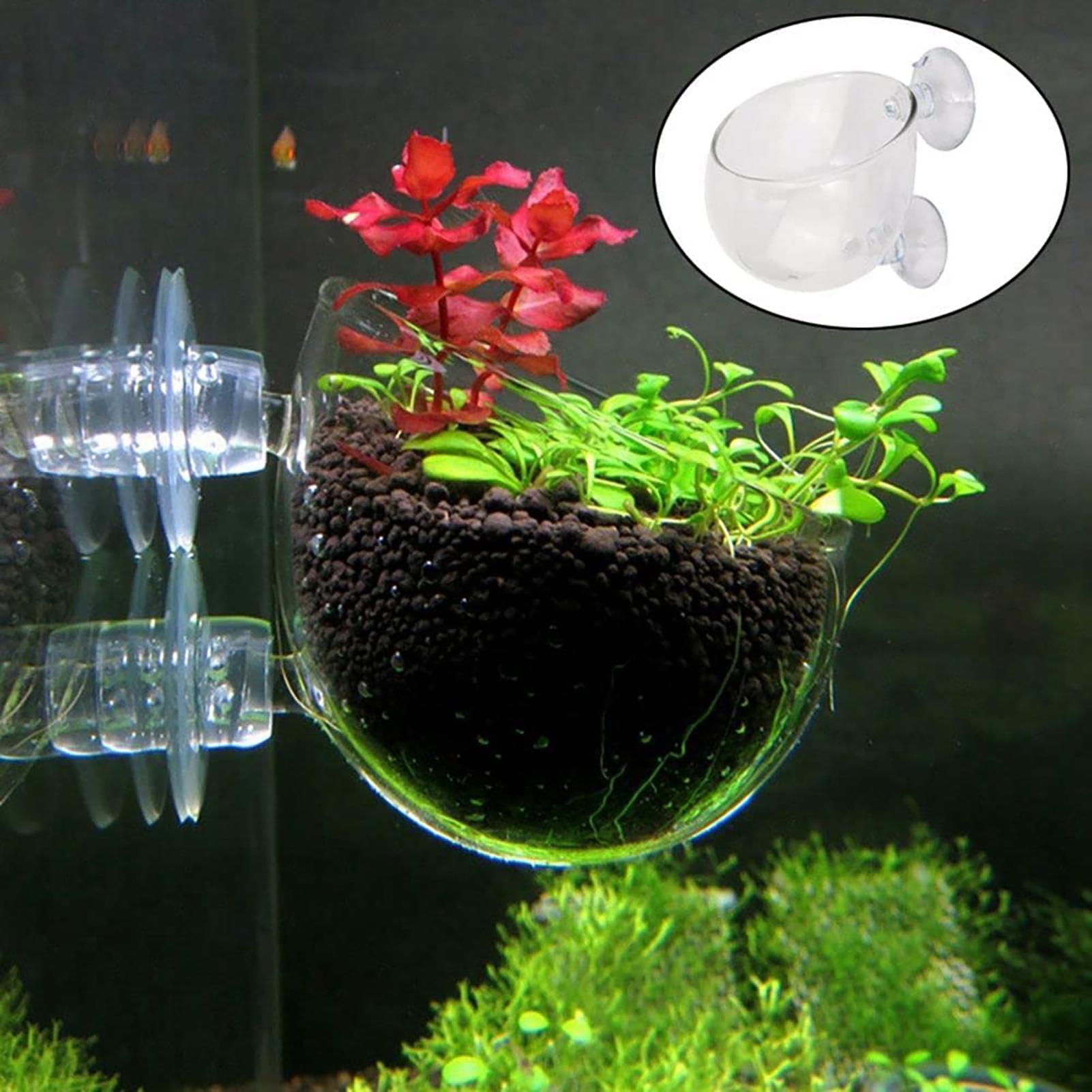 Plant Growth Regulator - 수생 식물 화분 흡착 컵이 있는