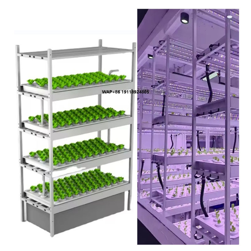 수직농장 수경재배 타워 시스템 실내 재배 선반 온실 농 - Hydroponic Farming Agriculture 리뷰 및 가격