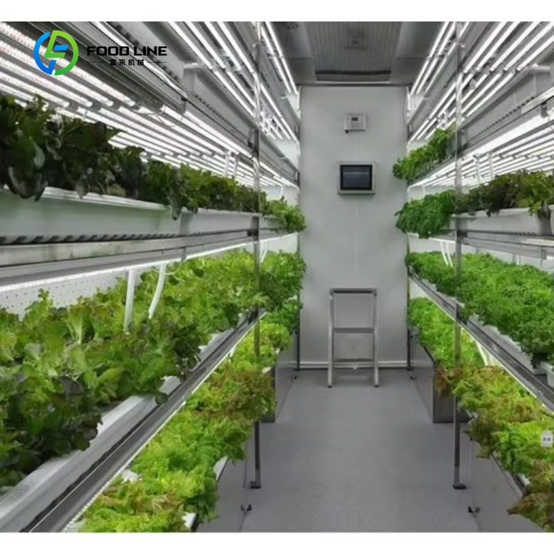 맞춤형 스마트팜 수직 NFT 수경재배 시스템 스틸 컨테 - Hydroponic Farming Agriculture 리뷰 및 가격