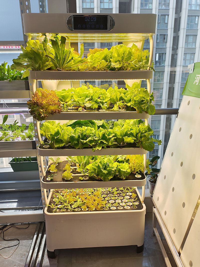 농업 기계로 채소, 상추 및 딸기 재배 수직 시스템 수 - Agriculture Farming System 리뷰 및 가격