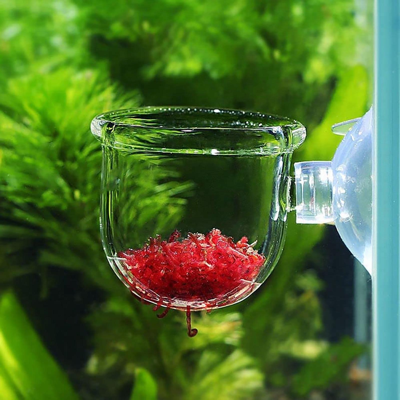 수생 식물 화분 흡착 컵이 있는 투명 아크릴 수족관 화 - Plant Growth Regulator 리뷰 및 가격