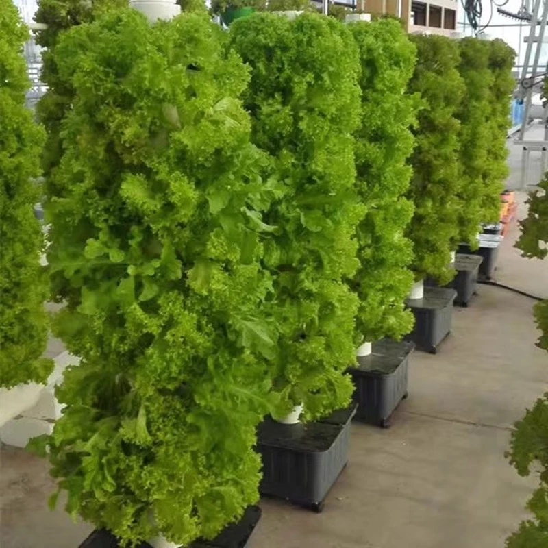 실내 수직 수경법 성장 시스템 장비 온실 프레임 헛간  - Hydroponic Farming Agriculture 리뷰 및 가격