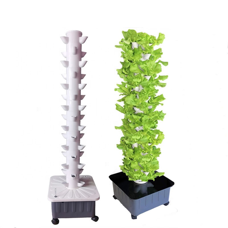 실내 수직 수경법 성장 시스템 장비 온실 프레임 헛간  - Hydroponic Farming Agriculture 리뷰 및 가격