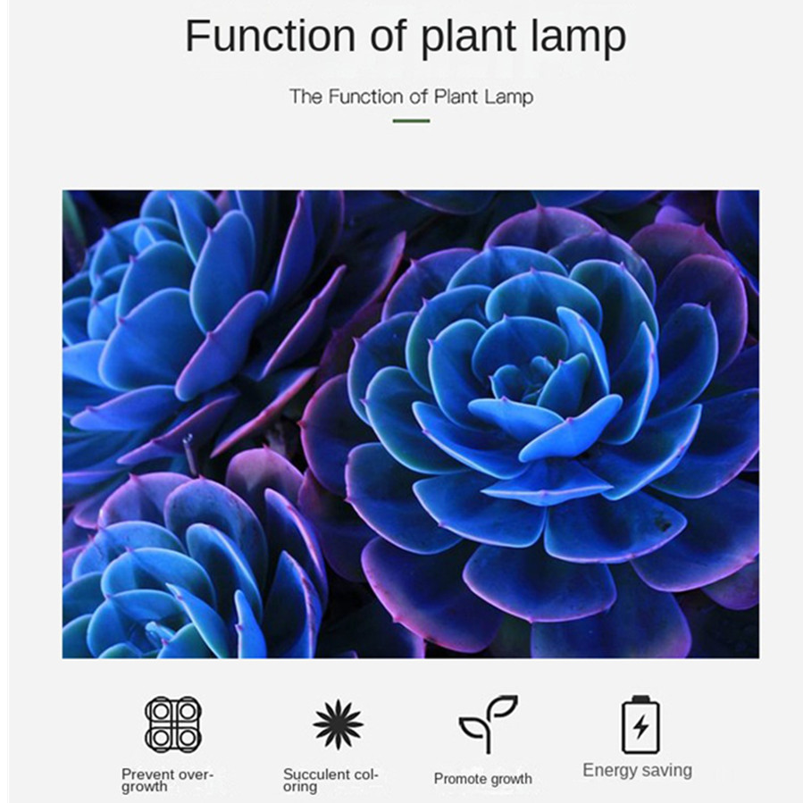 PwwQmm LED 식물 성장 램프 USB 전체 스펙트 - Plant Growth Regulator 리뷰 및 가격