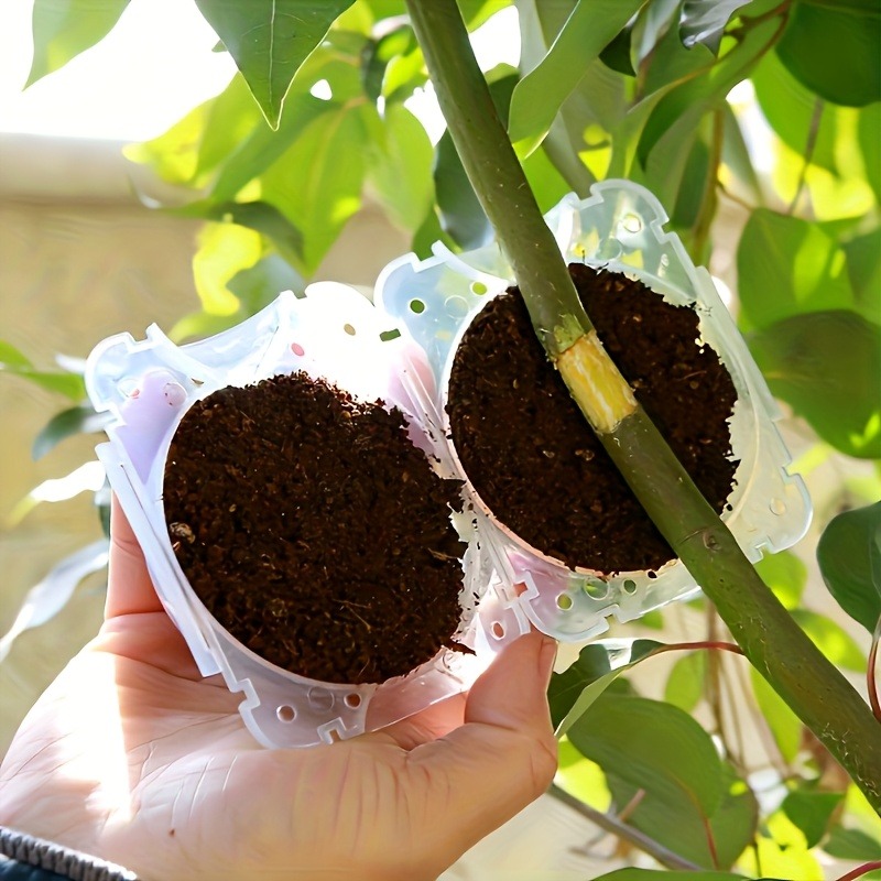 10개입 고압 식물 뿌리화 번식 상자 키트, 정원용 압 - Plant Growth Regulator 리뷰 및 가격